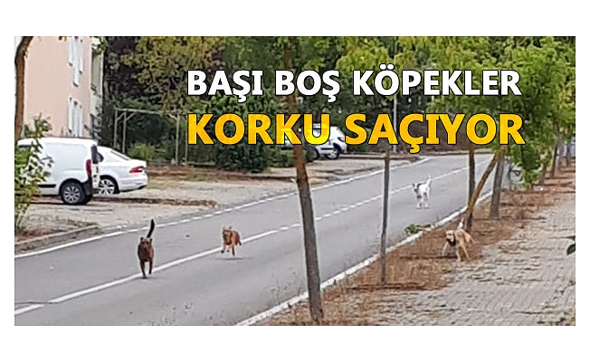 VATANDAŞ RAHATSIZ ÇÖZÜM İSTİYOR