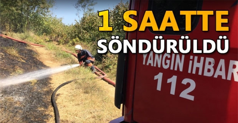 KONURALP'TE KORKUTAN YANGIN