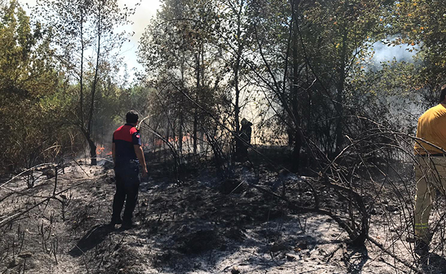 EKİPLERİ SÖNDÜRMEK İÇİN SEFERBER OLDU