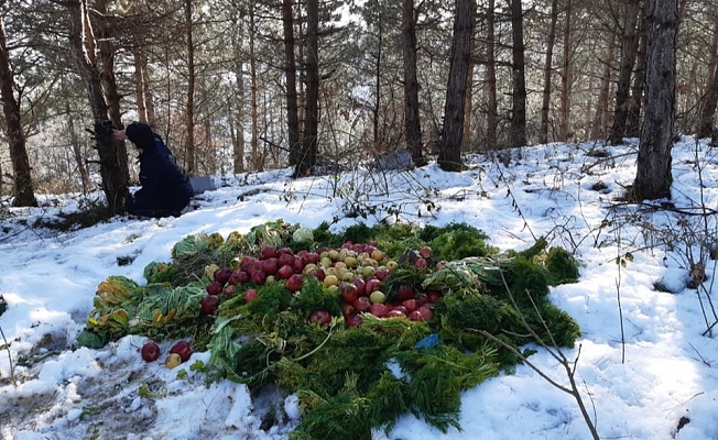 YABAN HAYATA YEM BIRAKILDI
