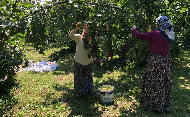 MEVSİMLİK İŞÇİLER İÇİN HAZIRLIKLAR TAMAM