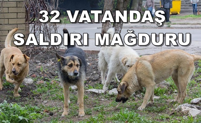 DÜZCE’DE ISIRILAN ISIRILANA!