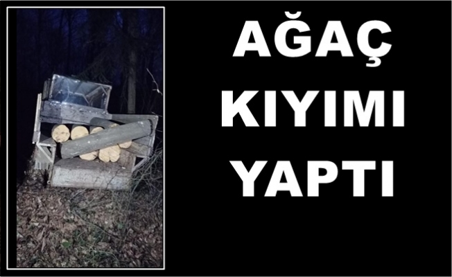 AĞAÇ KIYIMI YAPTI