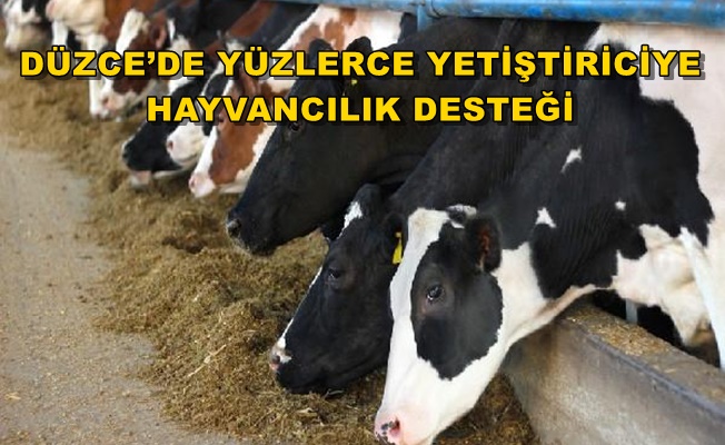 İL MÜDÜRLÜĞÜ KALEM KALEM AÇIKLADI…