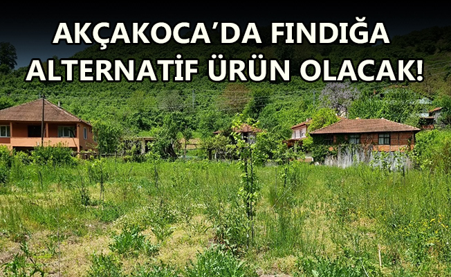 ONLARCA ÇİFTÇİ BAHÇELERİNE FİDAN DİKTİ