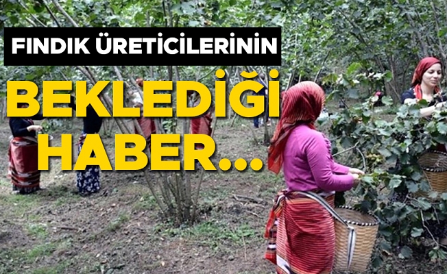 2024 YILI YEVMİYE VE PATOZ FİYATLARI AÇIKLANDI