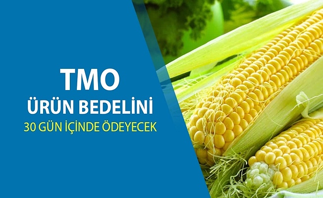 MISIR ALIM FİYATINI AÇIKLADI: TON BAŞINA 11 BİN 300 TL