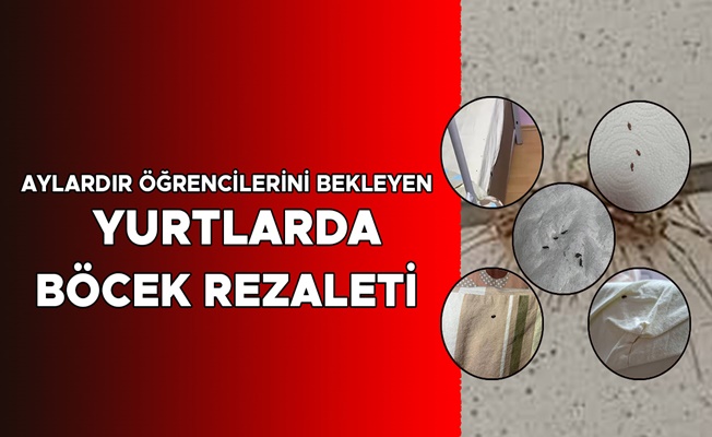 HANİ İLAÇLAMA? HANİ HİJYEN?