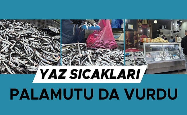 TEZGAHLARIN PRENSİ HAMSİ OLDU