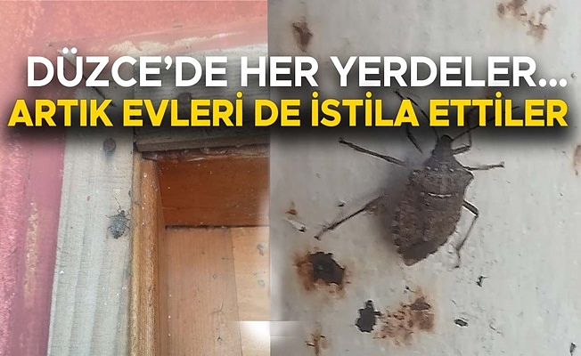 UZMANINDAN ‘KESİNLİKLE ELLE DOKUNMAYIN’ UAYRISI