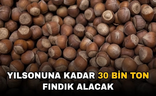 FINDIK FİYATLARININ YÜKSELMESİ BEKLENİYOR