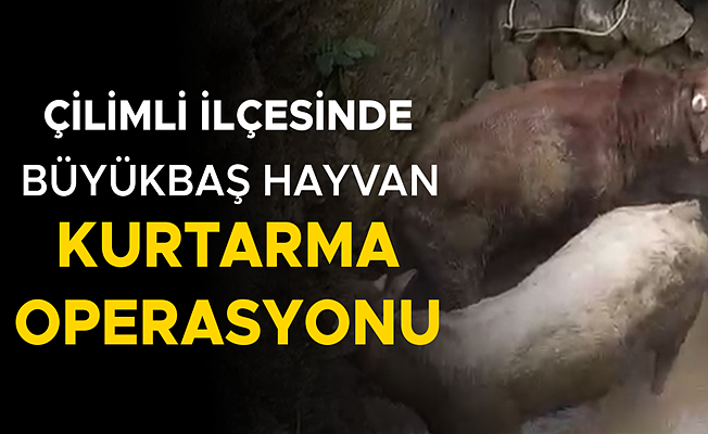 İTFAİYE EKİPLERİ VE KÖYLÜLER SEFERBER OLDU