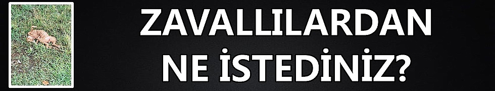 İNSANLIKTAN NASİBİNİ ALMAYANLARIN SON VUKUATI YÜREKLERİ SIZLATTI