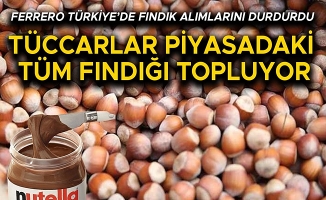 FINDIK FİYATLARI İKİYE KATLANDI