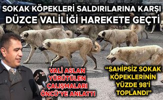 “DÜZCE SOKAKLARINDA ARTIK SAHİPSİZ KÖPEK OLMAYACAK”