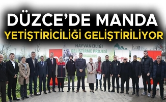 ÜRETİCİLERE 17 ADET MANBDA BOĞASI DAĞITILDI