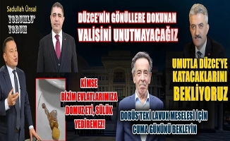 DÜZCE’DE DEVLET AKLI İLE MİLLETİ BULUŞTURAN VALİ SELÇUK ASLAN