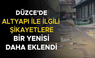 SOKAK YOLU ADETA KÖSTEBEK YUVASINA DÖNDÜ