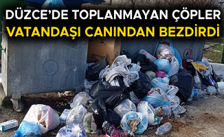 VATANDAŞLAR KAYNAŞLI BELEDİYESİNDEN YARDIM İSTEDİ…