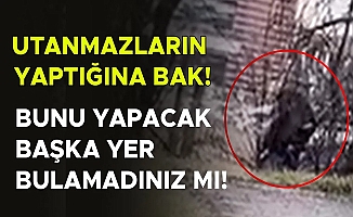 YAŞANAN REZİLLİĞE ŞAHİT OLAN VATANDAŞ: “EDEPSİZLİKLERİNİ SOKAKTA YAŞIYORLAR”