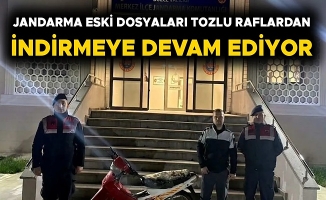 JANDARMA EKİPLERİ HIRSIZLIK ŞÜPHELİSİNİ GÖZALTINA ALDI