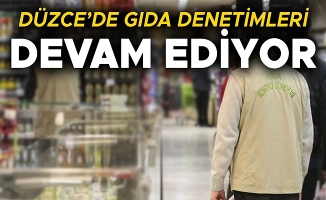 YÜZLERCE İŞYERİNDE DENETİM GERÇEKLEŞTİRİLDİ