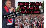 İNCE “FINDIK 15 LİRA”