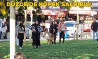 KÖPEĞİN SALDIRDIĞI ÇOCUK YARALANDI