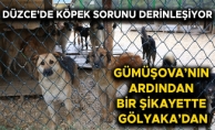 “4 BİN TL VERMEZSEM KÖPEĞİM ELLERİNDE REHİN”