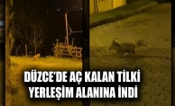 TİLKİNİN PANİK ANLARI VATANDAŞIN KAMERASINA TAKILDI