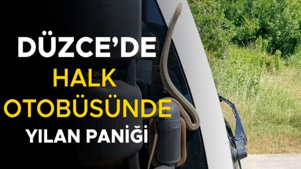 YOLCULAR BÜYÜK KORKU YAŞADI